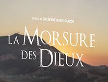 La chute des hommes